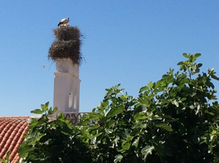 Stork Condo